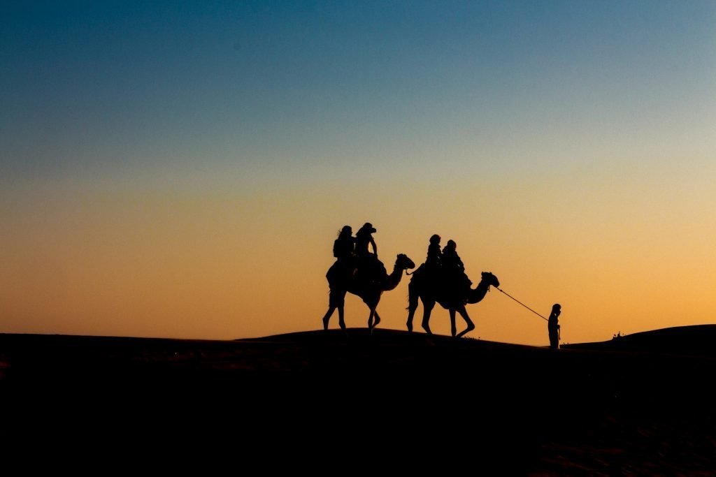Camel Silhouette Over the UAE desert during sunset
