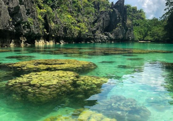 Limestone cliffs and turquoise water of Big Lagoon in El Nido Palawan Philippines.